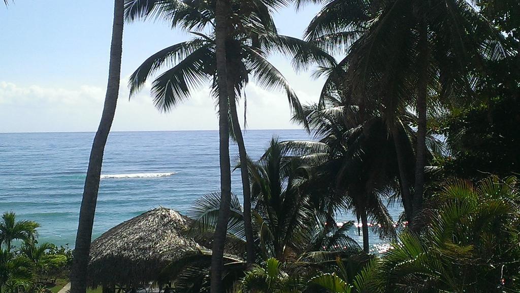 Hotel El Quemaito - Luxury Oceanfront Retreat Barahona Ngoại thất bức ảnh