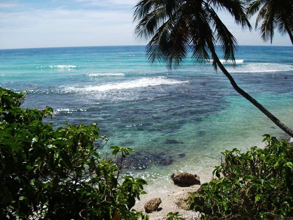 Hotel El Quemaito - Luxury Oceanfront Retreat Barahona Ngoại thất bức ảnh